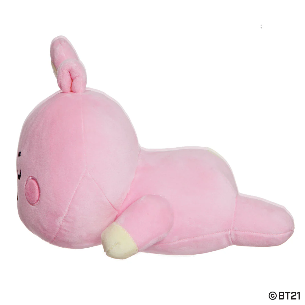 BT21 COOKY Baby Mini Pillow Cushion - Image 5