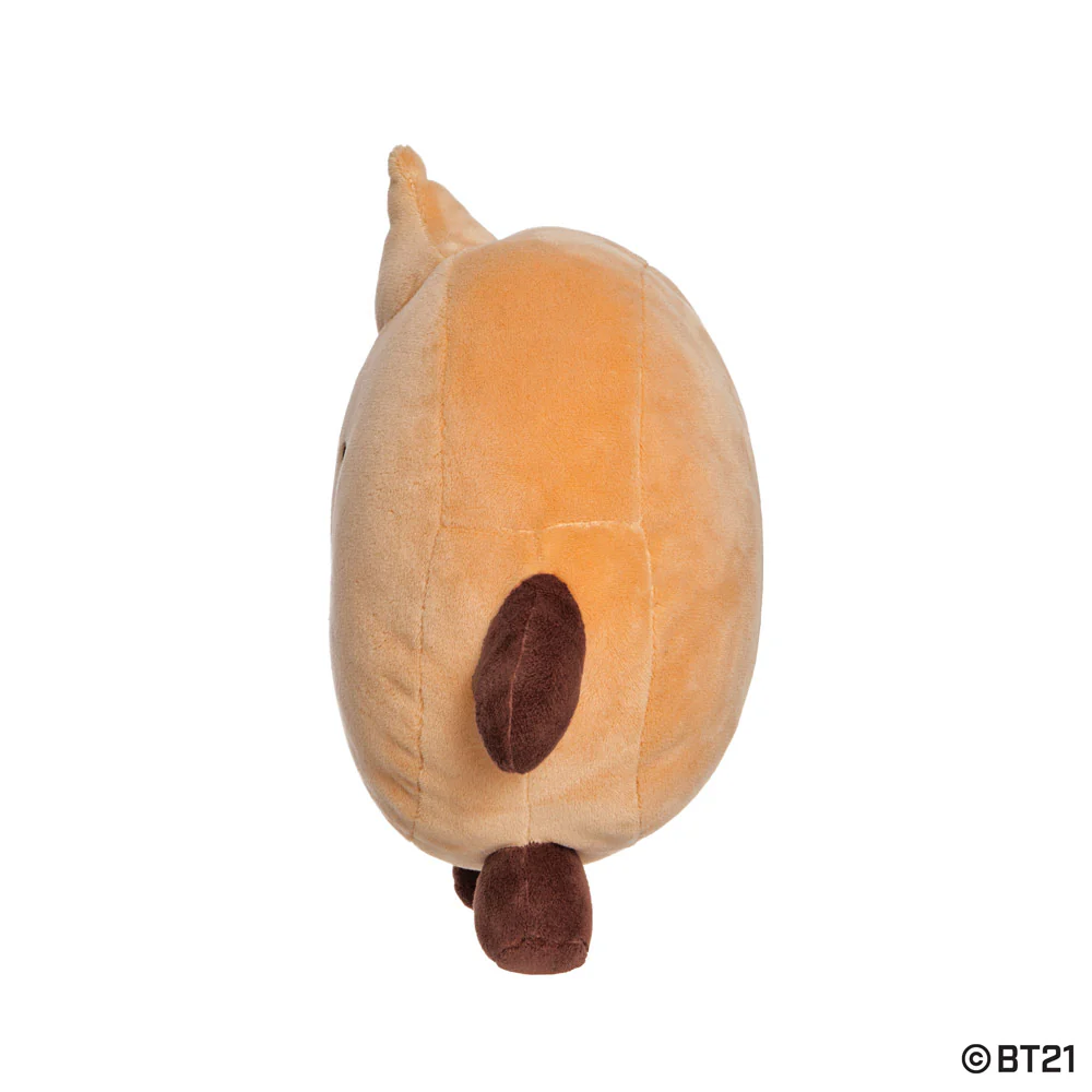 BT21 SHOOKY Baby Mini Pillow Cushion - Image 4